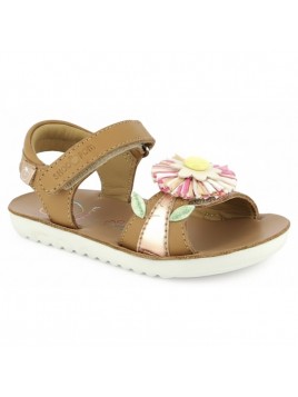 SANDALES SHOO POM GOA RIFIFI